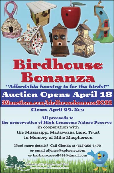 /online/TheHummData/Articles/202203/Birdhouse-Bonanza.png