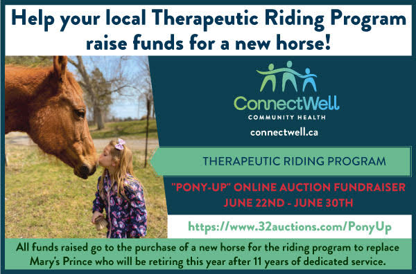 Featured image for Therapeutic Riding Program Auctions