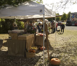 Ottawa Valley Farmers' Market in McDonald's Corners